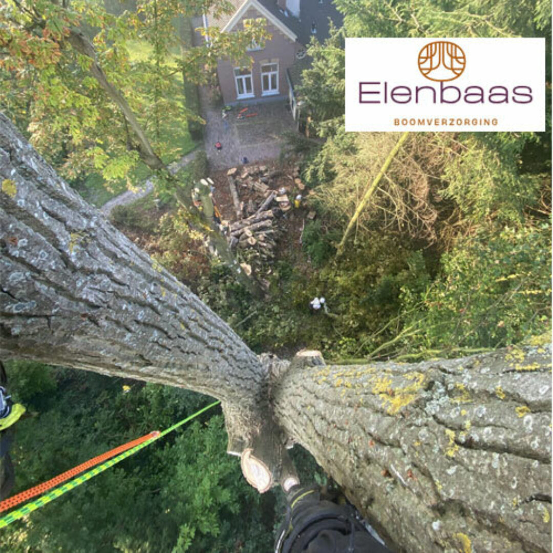 Boomklimmen voor je werk